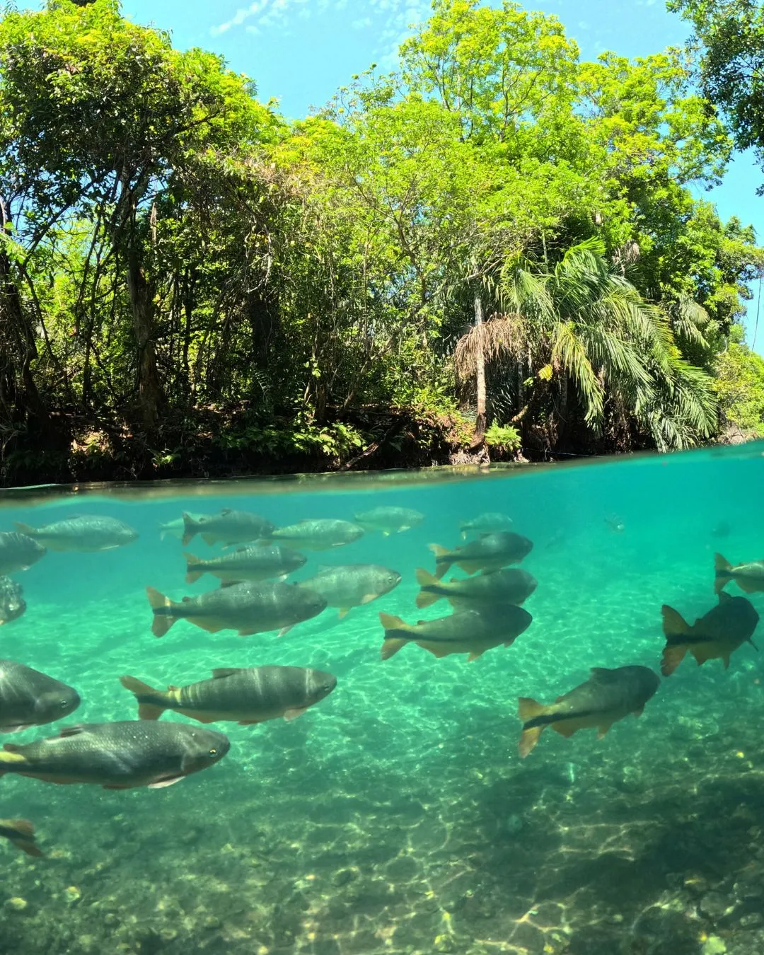 Calor? Que tal uma flutuação na Praia com direito a Balneário?