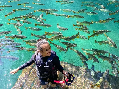Flutuação no Rio Formoso — Uma aventura inesquecível